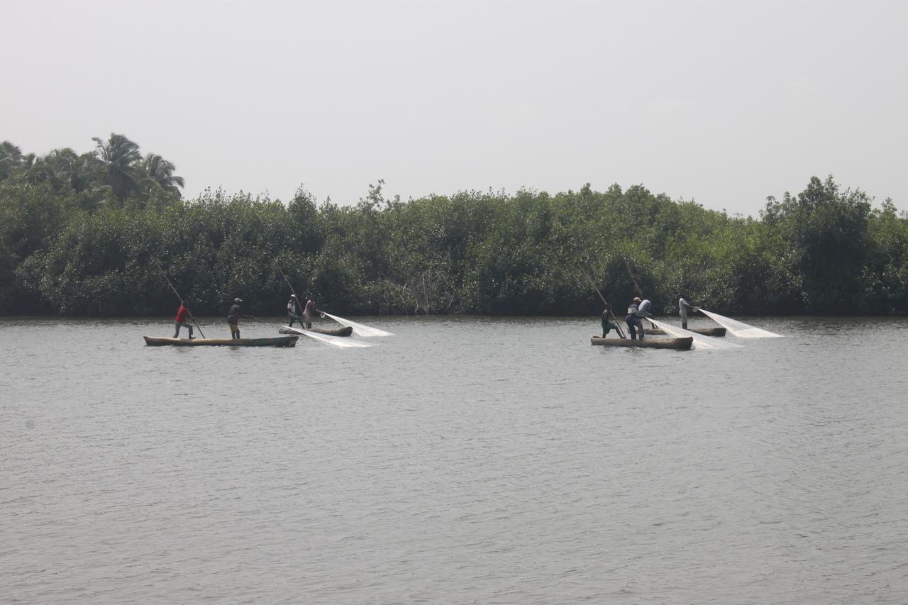 Natura Luxury Lodge Ouidah Buitenkant foto